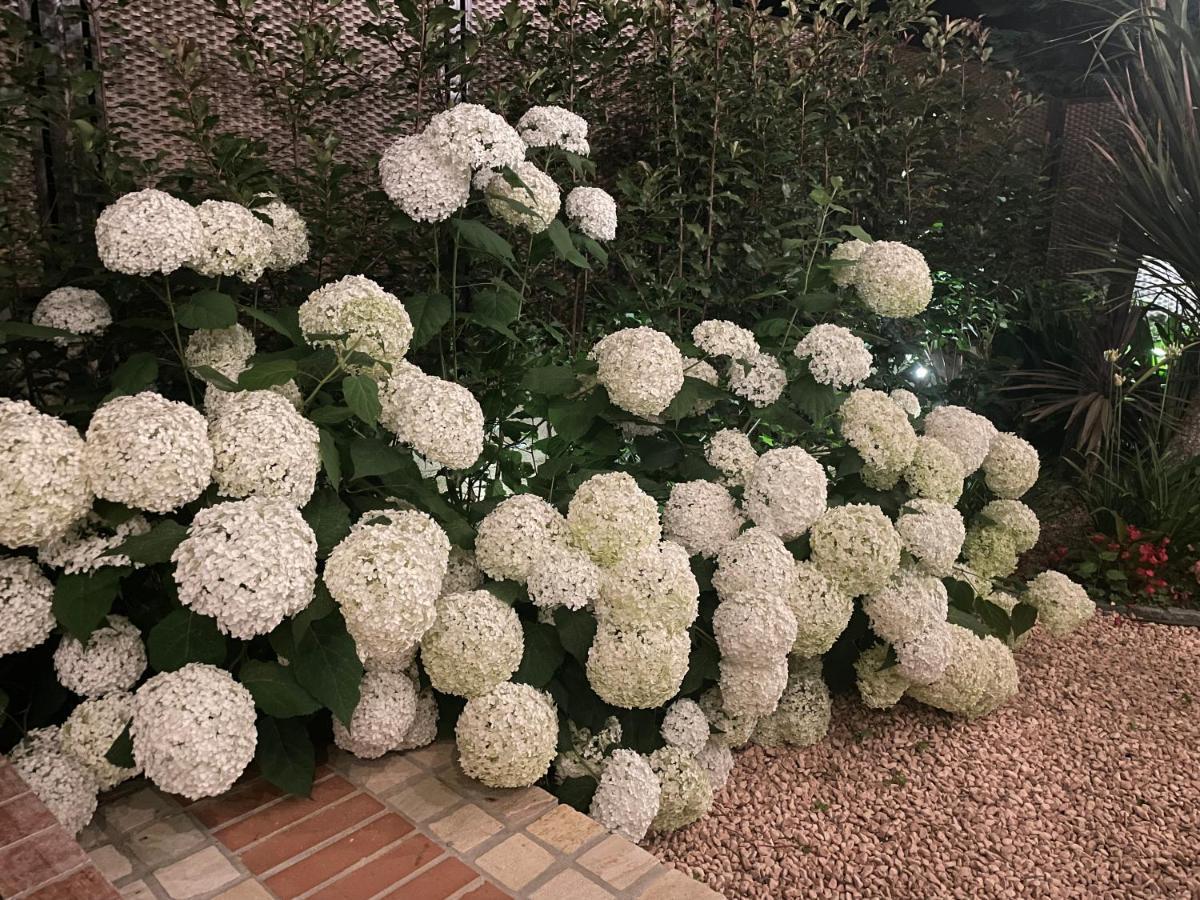 Borgata Cantone Country House B&B Garlenda Exterior photo
