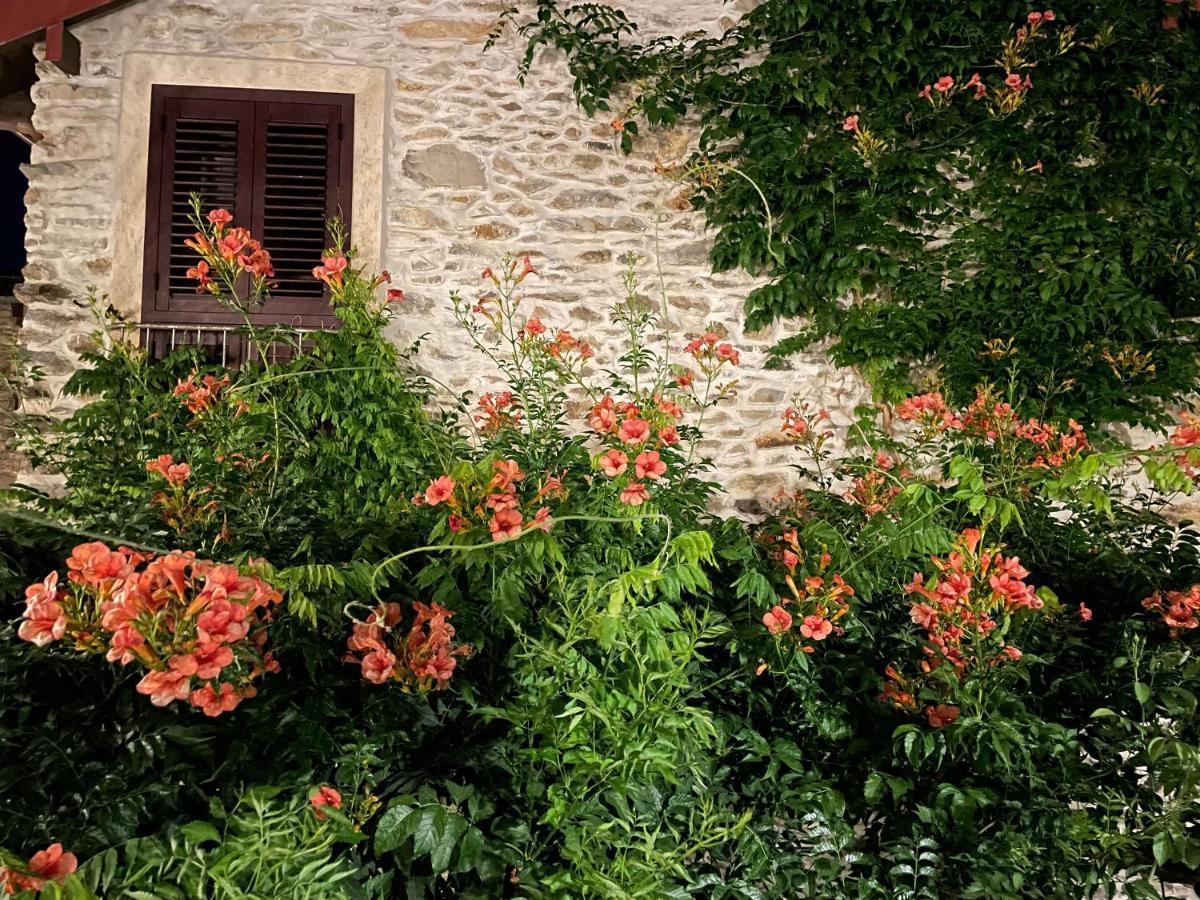 Borgata Cantone Country House B&B Garlenda Exterior photo