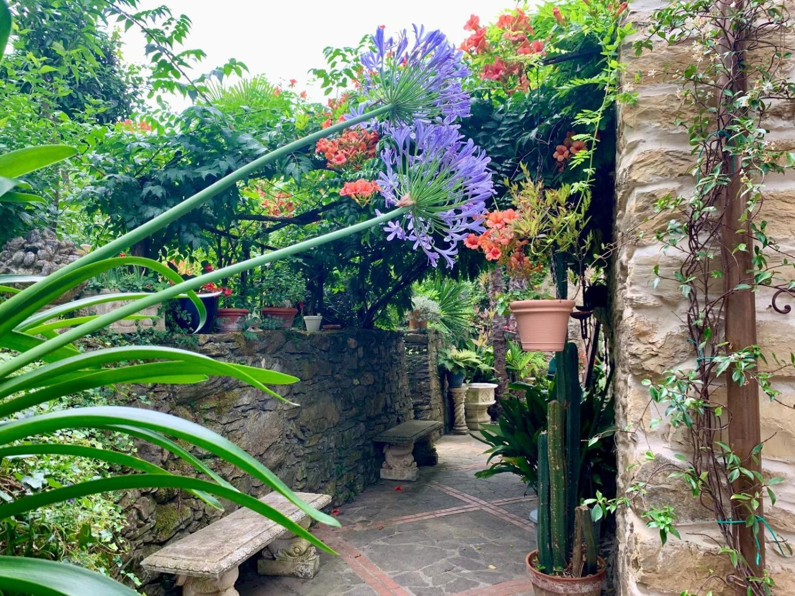 Borgata Cantone Country House B&B Garlenda Exterior photo